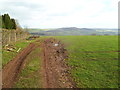 Tyre tracks through the edge of a field, Newcastle