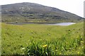 NL6499 : Lush summer pastures lead down to Loch Tangasdail by Alan Reid