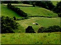 H5591 : Turning hay, Meenacrane by Kenneth  Allen
