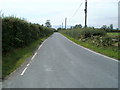 Road from Whitson towards Goldcliff