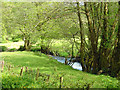 Afon Gwaun near Llanychlwydog