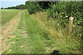 Footpath towards the Seven Acre Covert