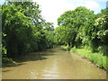 Ashby Canal: Reach near Bramcote