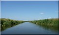 TQ8226 : River Rother, county boundary by Christine Johnstone