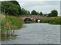 Looking downstream to Newenden Bridge