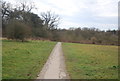 Footpath, Farnham Park