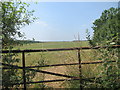 Pasture land at Old Warren