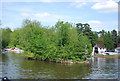 Eyot, River Thames