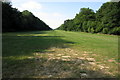 Footpath to Silverstone between the woods