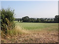 Looking over the fields, towards Fiddington