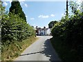 Oak Lane towards the main road