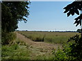 Farmland near Stanker