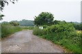 Track to Godsfield Farm