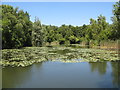 Lennoxwood Lake