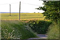 View over fields near Binsted