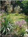 Flowers in the garden of Little Benslow Hills, Hitchin