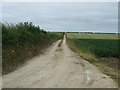 Track to Glebe Farm