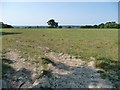 Farmland north-east of Timber Wood