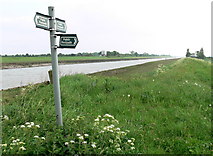 TF4926 : Signpost on the sea bank by Mat Fascione