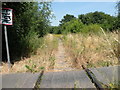 Disused railway line at Penhaligon Way (NE)