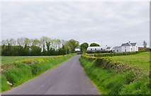 M7208 : Minor road to Duniry, Co. Galway by P L Chadwick