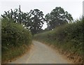 Watery Lane from farm entrance