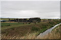 Sheep holding by Decoy Bridge