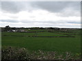 Farmland between School Road and Bannfield Road