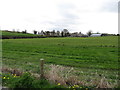 Farmland west of School Road