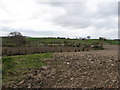 Farmland at the western end of Crabtree Road