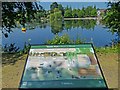 Information board, Roath Park Lake