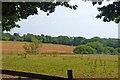 Landscape south of Thorney Hill