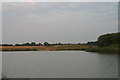 Rural scene in Cleethorpes Country Park