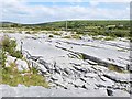 R2999 : Limestone pavement in the Burren by Oliver Dixon