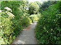 Riverside footpath