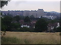 Office blocks in Colindale from Sunnyhill Park