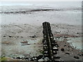 ST3781 : Goldcliff groyne by Jaggery