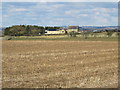 Farmland south of West Bingfield