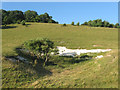 Old Chalk Pit