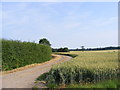 Bridleway off Park Road