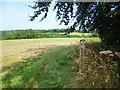 The Chiltern Way at Hollandridge Farm