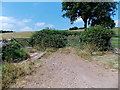 Three gates near Llanstephan Church