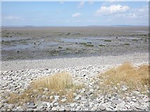 ST2545 : The vast expanse of mud flats in Bridgwater Bay by Roger Cornfoot