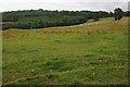 Farmland above Hardwicke