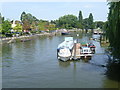 View of Twickenham riverside from the bridge to Eel Pie Island