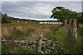 Old Welsh long house