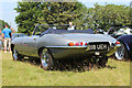 Jaguar E-Type, Appledore Show