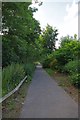 Cycleway Beside Lyme Brook