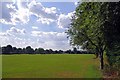 Playing Fields in Newcastle Under Lyme