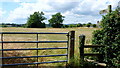 Footpath to Cowhills Farm